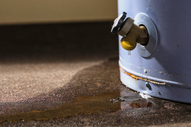 Best Flood restoration services  in East Aurora, NY