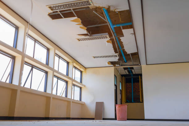  East Aurora, NY Water damage restoration Pros