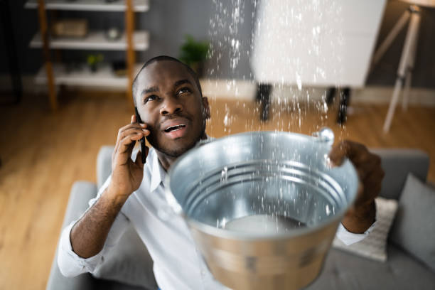 Best Commercial water damage restoration  in East Aurora, NY