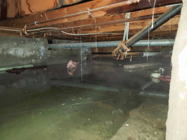 Local water damage restoration in East Aurora, NY