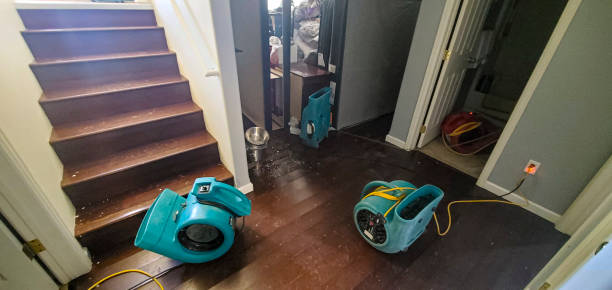 Best Fire Damage Restoration  in East Aurora, NY