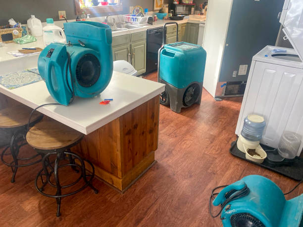 Professional Water damage restoration in East Aurora, NY
