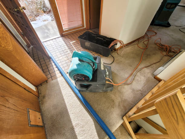 Best Fire Damage Restoration  in East Aurora, NY