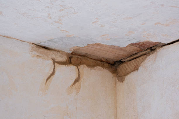 Best Water damage cleanup near me  in East Aurora, NY
