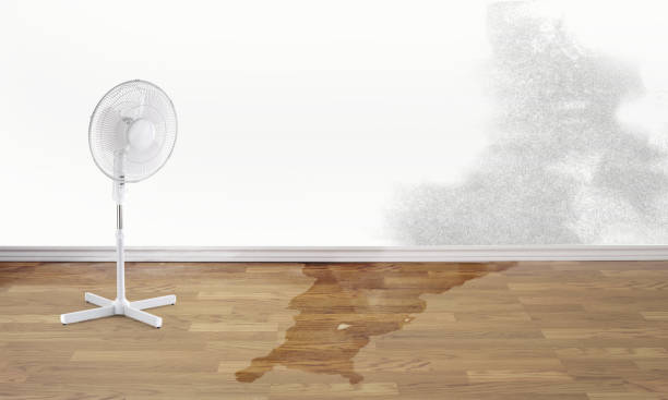 Sewage cleanup and water damage restoration in East Aurora, NY