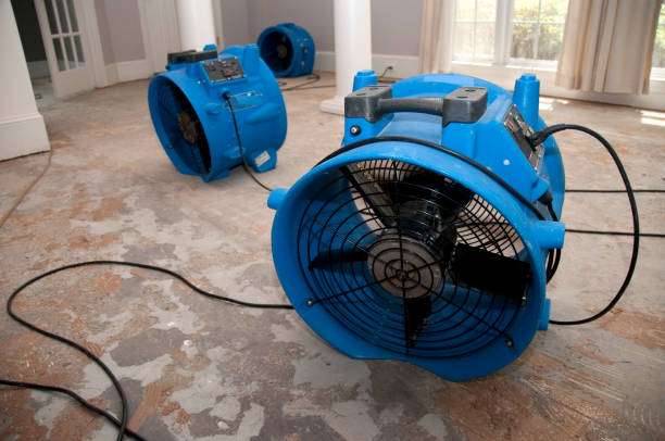 Best Professional water damage repair  in East Aurora, NY