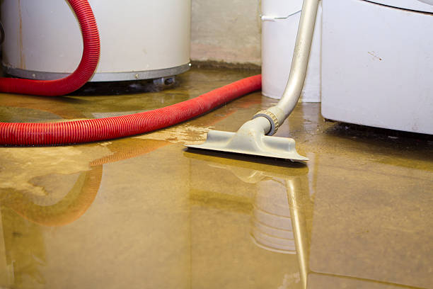 Best Emergency water damage restoration  in East Aurora, NY