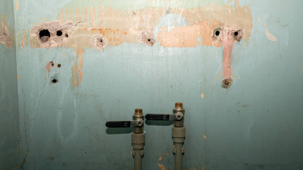 Best 24-hour water damage restoration  in East Aurora, NY