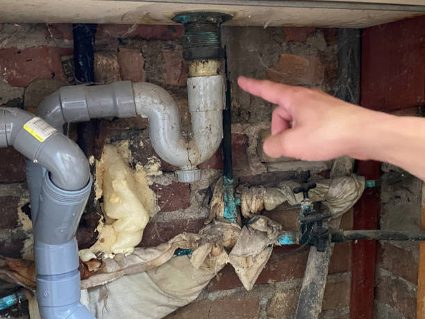 Best 24/7 water damage repair  in East Aurora, NY