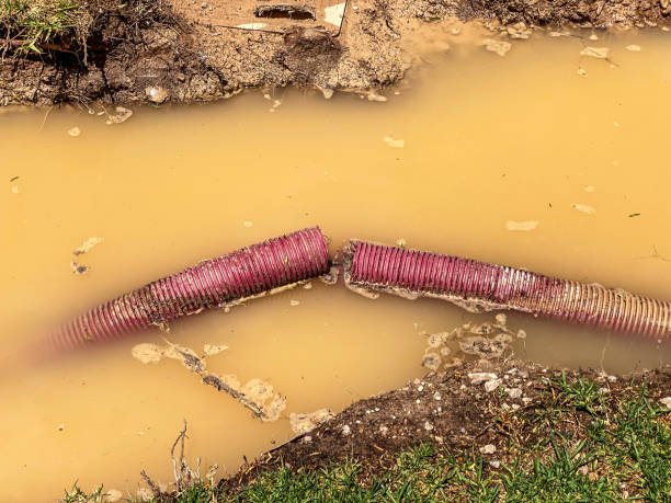 Best Carpet water damage restoration  in East Aurora, NY
