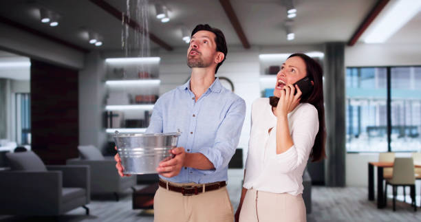 Best Flooded house restoration  in East Aurora, NY